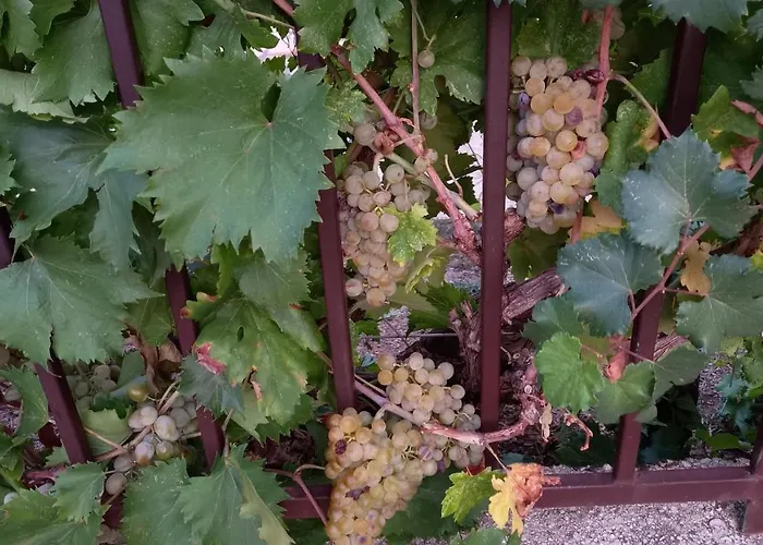 Vinka Apartamento Mostar